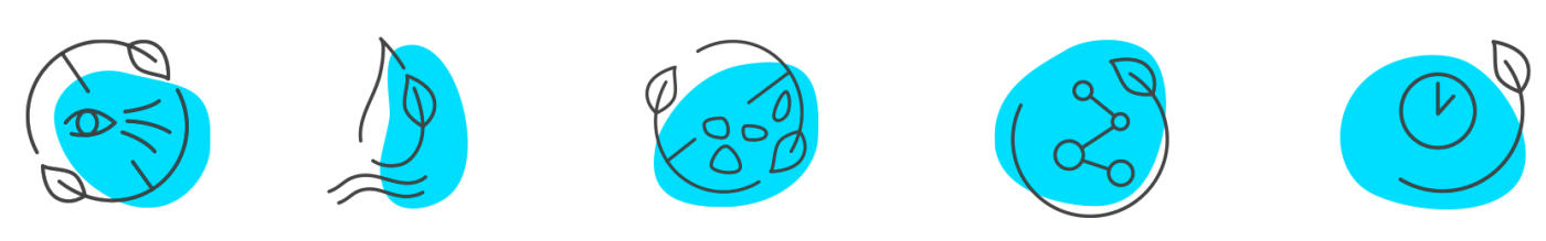 ikony kyselina hyaluronov&aacute;